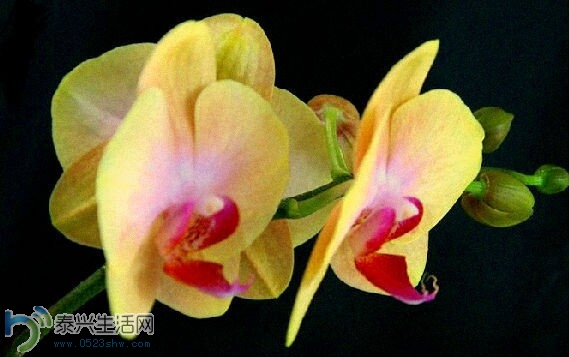 QQͼƬ20140630152740.jpg