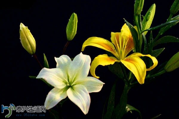 QQͼƬ20140630152805.jpg