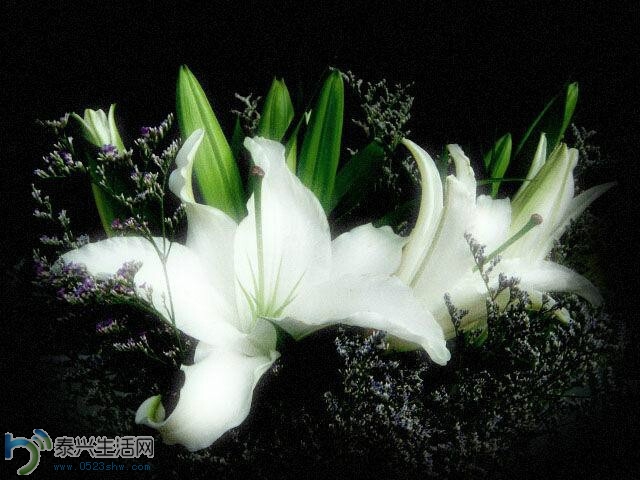 QQͼƬ20140630152916.jpg
