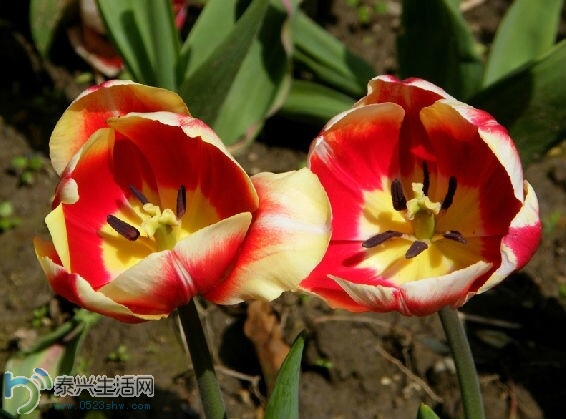 QQͼƬ20140630152835.jpg