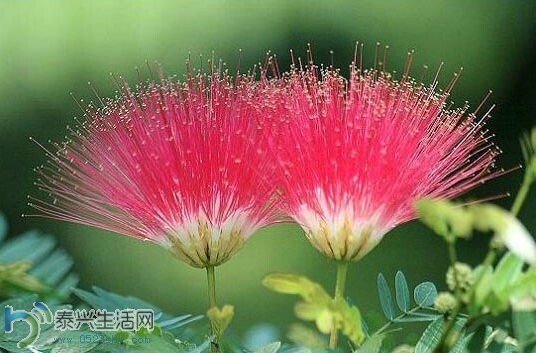 QQͼƬ20140630152842.jpg