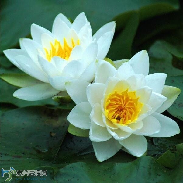 QQͼƬ20140630152900.jpg