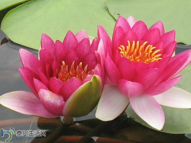 QQͼƬ20140630153003.jpg