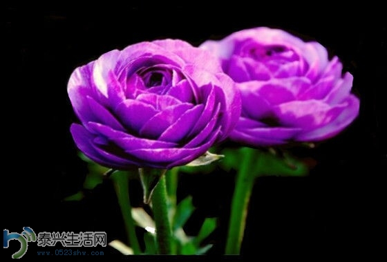 QQͼƬ20140630153025.jpg