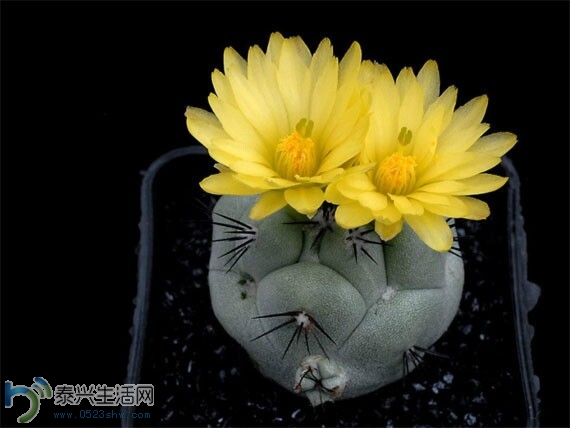 QQͼƬ20140630153034.jpg