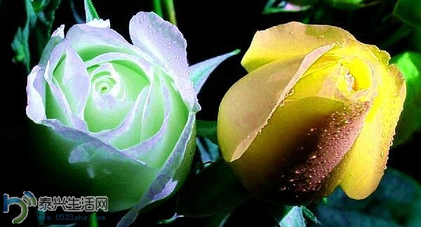 QQͼƬ20140630153046.jpg
