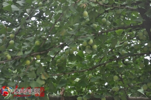 QQͼƬ20140701090117.jpg
