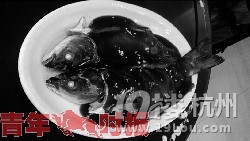QQͼƬ20140702113252.jpg