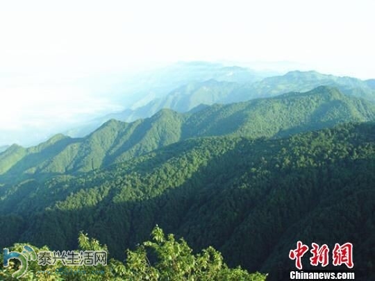 QQͼƬ20140703074859.jpg