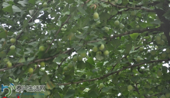 QQͼ20140703080710.png