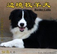 QQͼƬ20140703103501.jpg