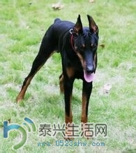 QQͼƬ20140703103542.jpg