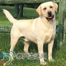 QQͼƬ20140703103601.jpg