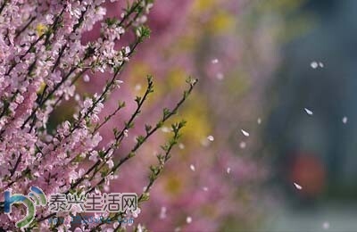 QQͼƬ20140704091040.jpg