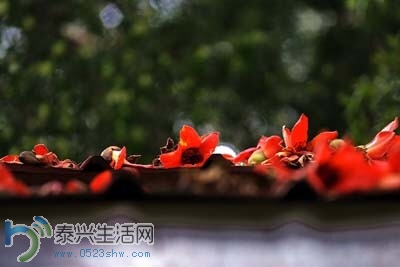 QQͼƬ20140704091115.jpg