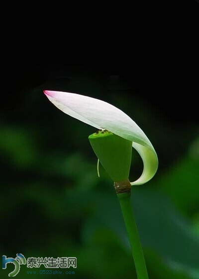 QQͼƬ20140704091123.jpg