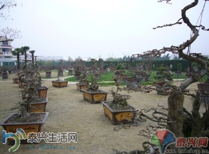 QQͼƬ20140704094528.jpg