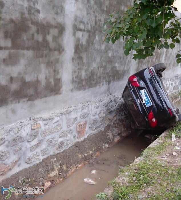 diaoch2.jpg