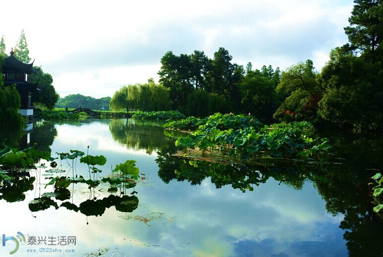 xih6.jpg