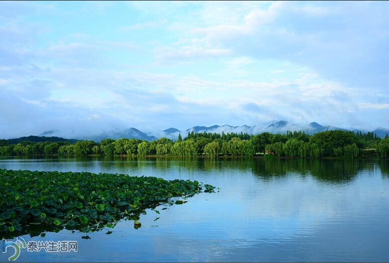 xih4.jpg