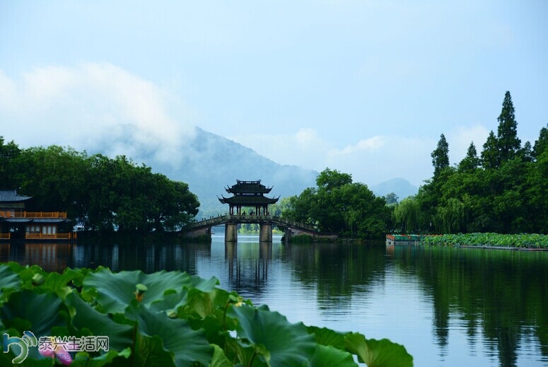 xih1.jpg