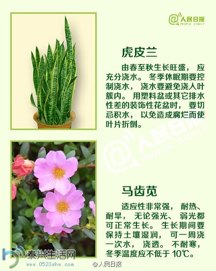 jiaoh2.jpg