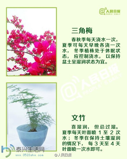 jiaoh1.jpg