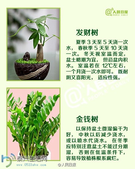 jiaoh6.jpg
