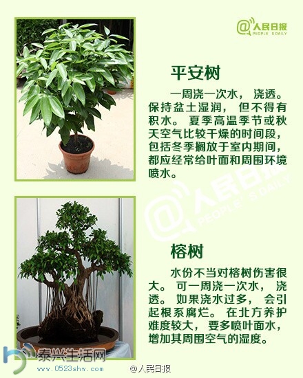 jiaoh5.jpg