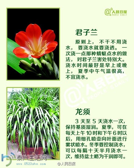 jiaoh3.jpg