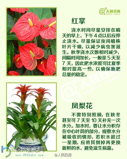 jiaoh9.jpg