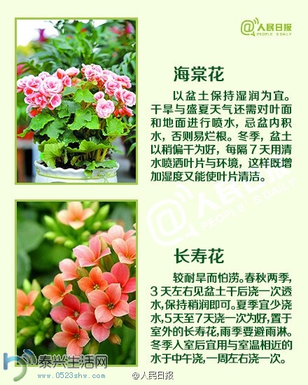 jiaoh8.jpg