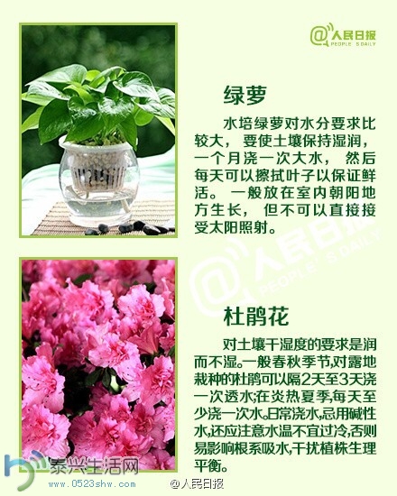 jiaoh7.jpg
