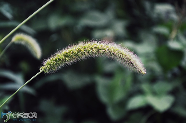 DSC_0455_.jpg