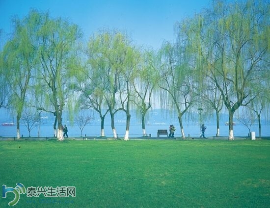 xih9.jpg