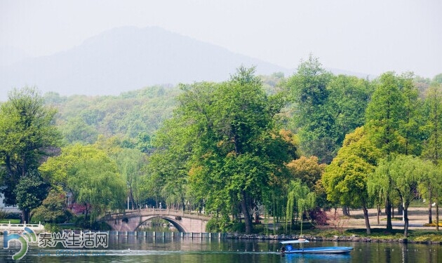 xih6.jpg