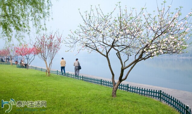 xih1.jpg
