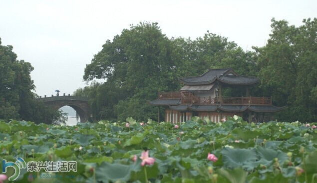 xih2.jpg