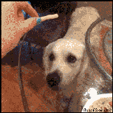 20140722094210_80614.gif