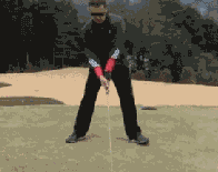20140722101556_16006.gif