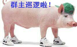 20140723100721_33480.jpg