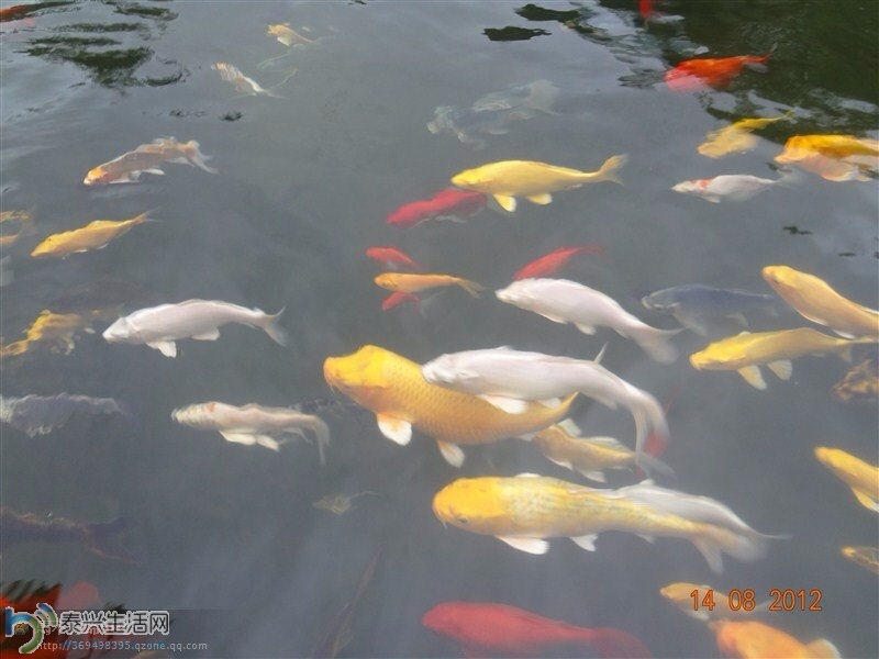 image.jpg