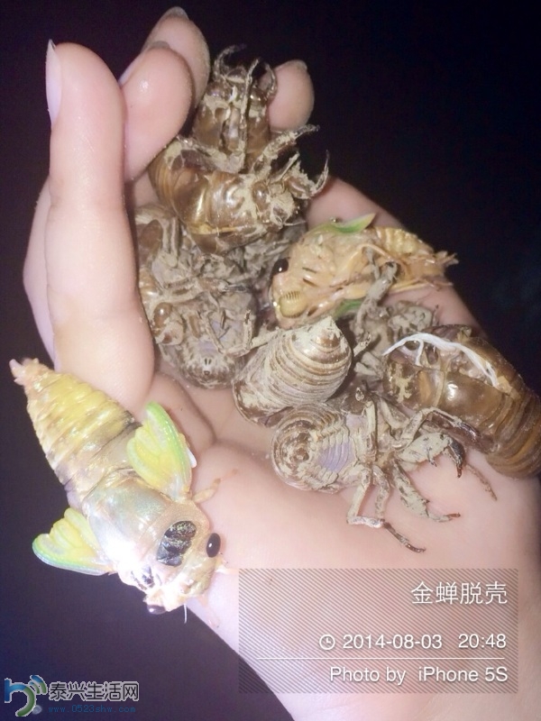 image.jpg