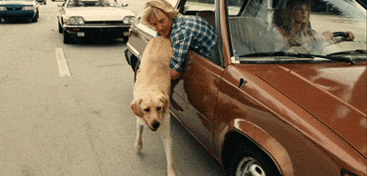 651F163E6381.gif