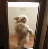 6D5160D9BD22.gif