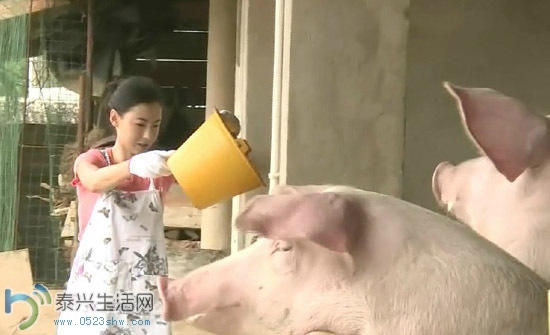 2014092718295241ab1.jpg