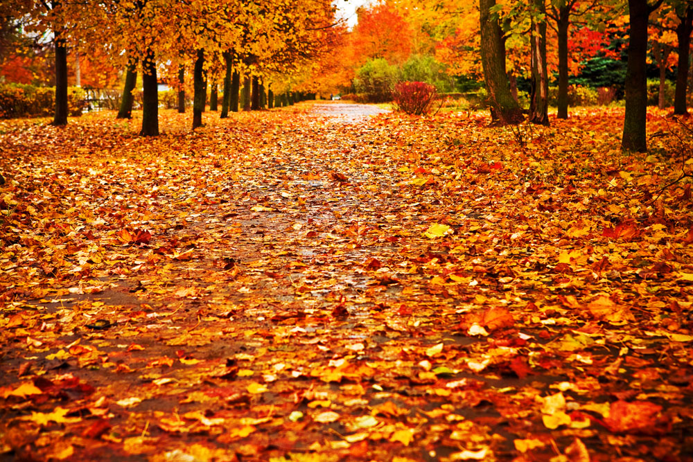 20141014015509_98983.jpg