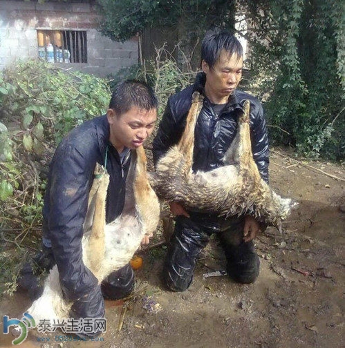 17.jpg
