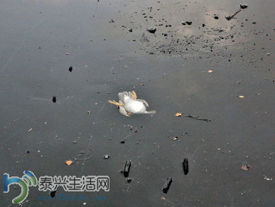 20141213093126b81e4.png
