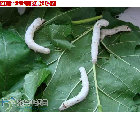 QQͼƬ20150109142821.png